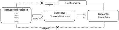 Visceral adipose tissue and osteoarthritis, a two-sample Mendelian randomized study